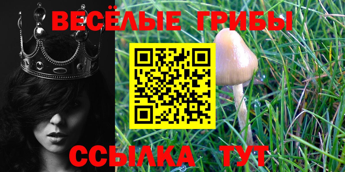 Галлюциногенные грибы Cubensis  Вход с VPN  цены наркотик  Чайковский 