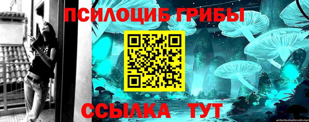 Псилоцибиновые грибы мицелий  Чайковский 