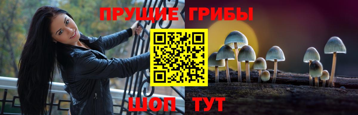 Псилоцибиновые грибы MAGIC MUSHROOMS Чайковский