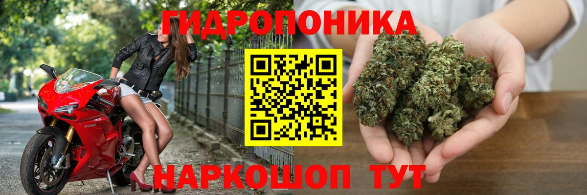 Шишки марихуана ГИДРОПОН  Бошки Шишки ГИДРОПОН  Чайковский  Вход с VPN 